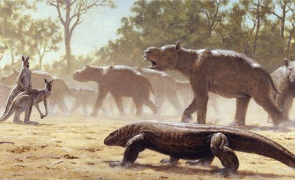 Diprotodon undertaking mass migration, while being observed by a giant lizard (Megalania) and giant grey kangaroos. Credit: Laurie Beirne